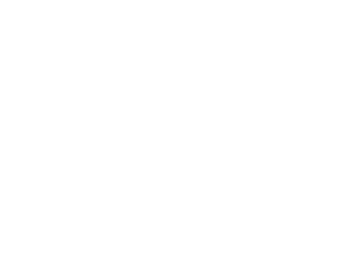Wacha Immobilien